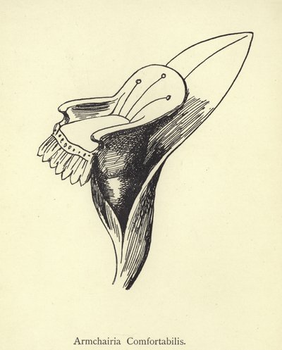 Koltuk Rahatlığı by Edward Lear